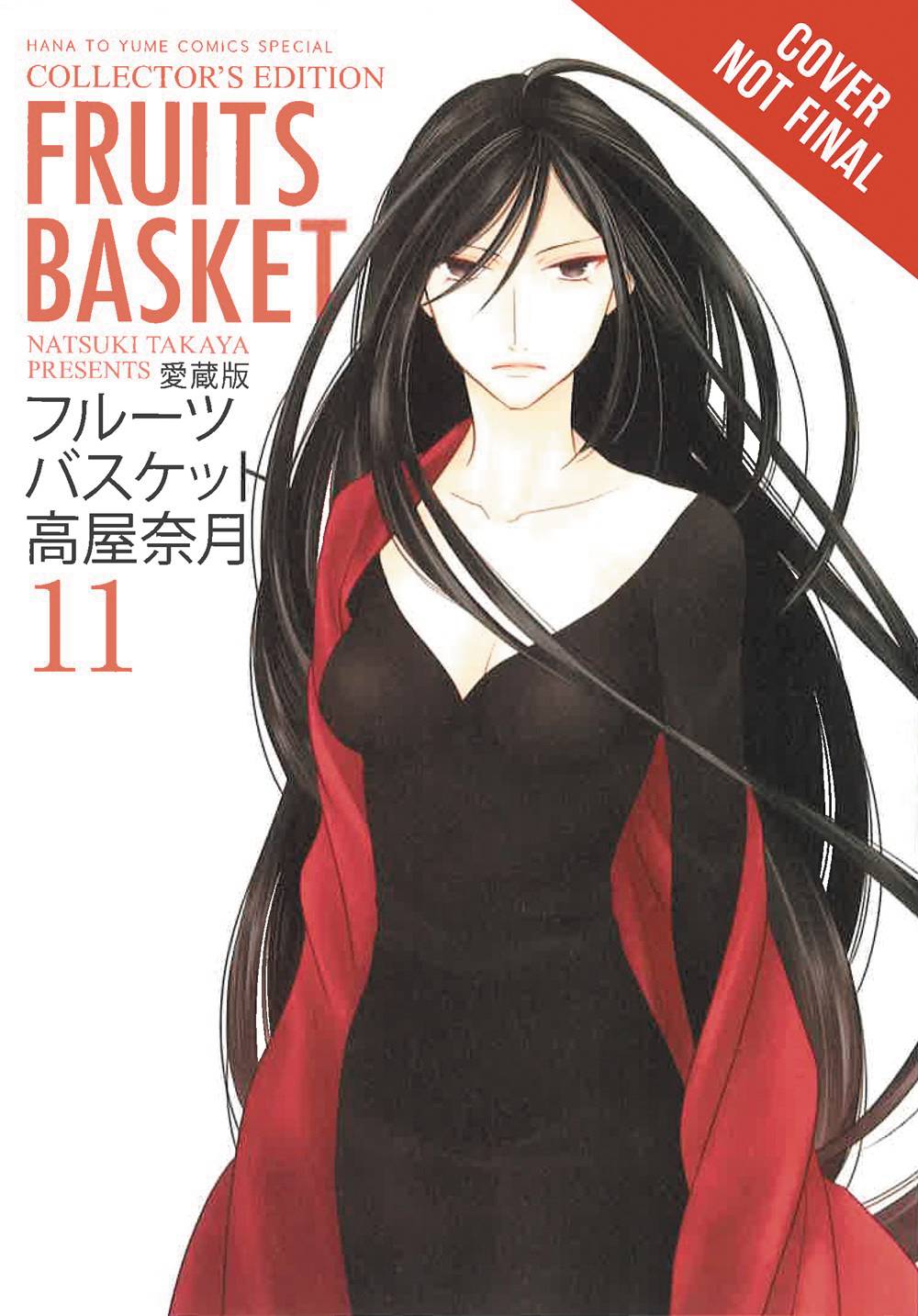 Fruits Basket Collectors Edition Vol 11